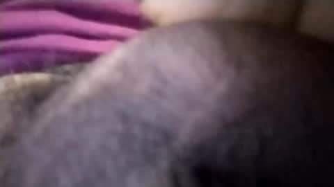 torresabel762 online show from 8, 4, 2026