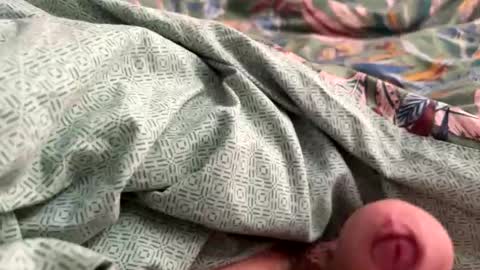 tos12345 online show from 21, 11, 2025