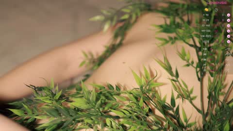 Toshi online show from 9, 12, 2024