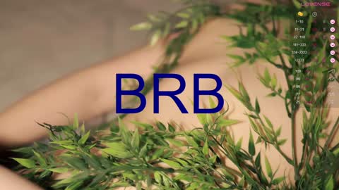 Toshi online show from 20, 12, 2024