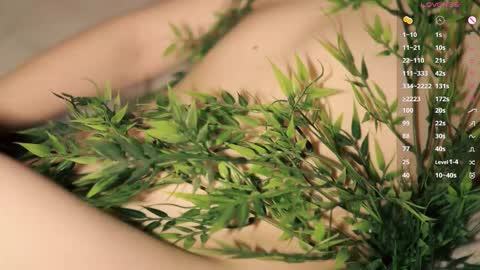 Toshi online show from 25, 3, 2026