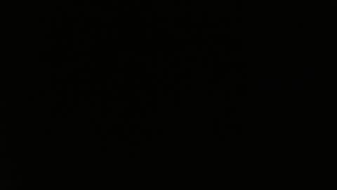 totoro_239 online show from 24, 3, 2026