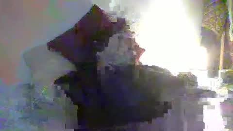 toyboyhumilation online show from 7, 11, 2025