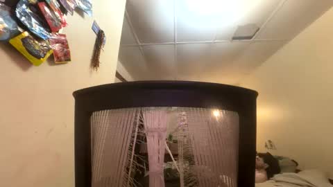 Snapshot of tracy227 chatting on 9, 11, 2025 tracy227 online show from 9, 11, 2025