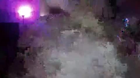 Snapshot of transgirl005 chatting on 10, 11, 2025 transgirl005 online show from 10, 11, 2025