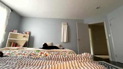 Snapshot of transgirl007 chatting on 30, 5, 2026 transgirl007 online show from 30, 5, 2026