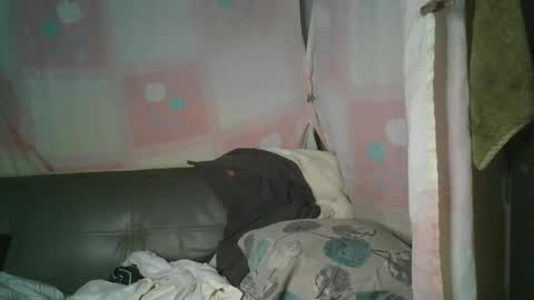 Snapshot of transhottie28 chatting on 3, 3, 2025 transhottie28 online show from 3, 3, 2025