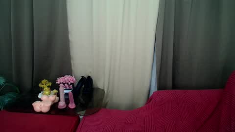 Snapshot of transmanilasue chatting on 1, 6, 2026 Sue online show from 1, 6, 2026