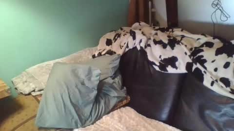 trashdiamond online show from 3, 4, 2026