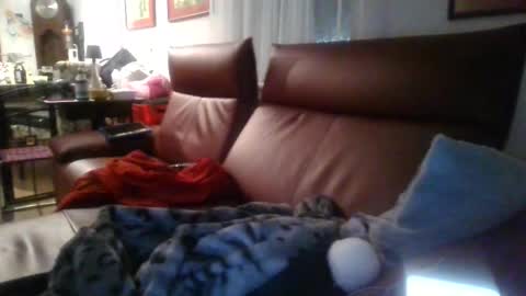 trebgeis1 online show from 19, 4, 2026