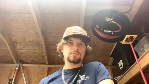 treeman817 online show from 8, 5, 2026