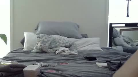 trickquestion online show from 19, 2, 2026