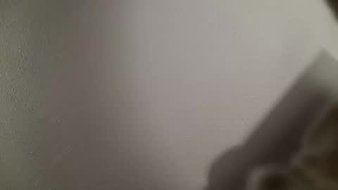 Snapshot of trinicdn chatting on 25, 10, 2025 trinicdn online show from 25, 10, 2025