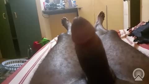 Antique-Shirt2516 online show from 26, 2, 2026