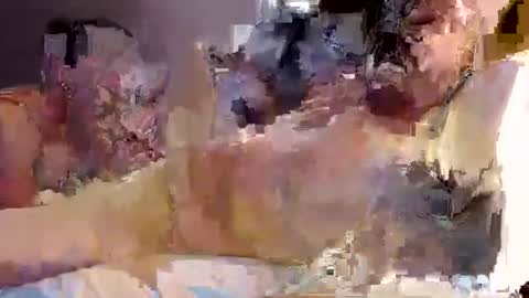 trojanswingers online show from 11, 2, 2025