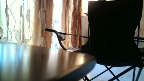 Snapshot of truble_again chatting on 18, 5, 2026 truble_again online show from 18, 5, 2026