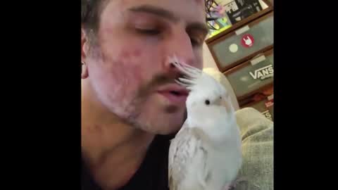 Yuri Nater online show from 20, 2, 2026