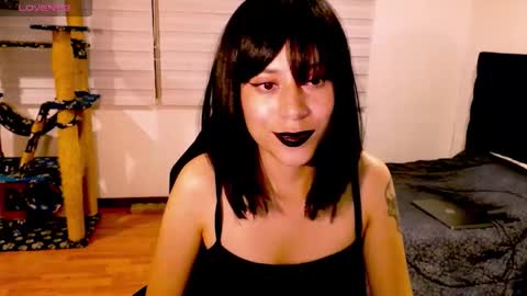 Cait online show from 29, 11, 2025