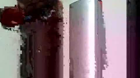 Snapshot of ts_herrera chatting on 2, 2, 2025 ts_herrera online show from 2, 2, 2025