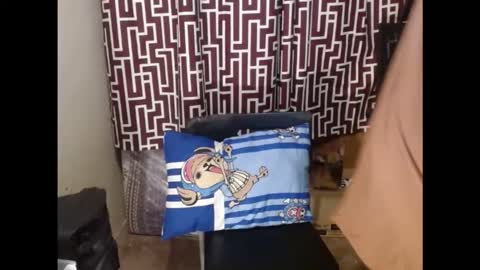 SARCY online show from 24, 2, 2026