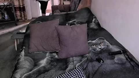 Lana online show from 17, 11, 2025