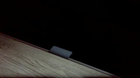 Snapshot of tvstefanie1 chatting on 1, 12, 2024 tvstefanie1 online show from 1, 12, 2024