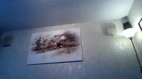 twatcockandballs online show from 23, 2, 2026