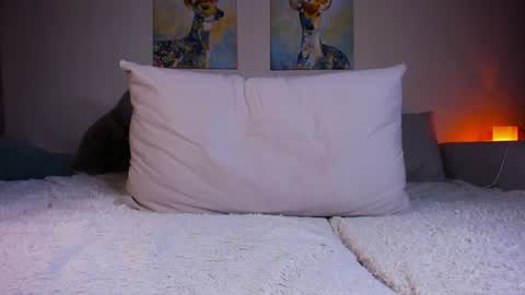 Maria 3 online show from 18, 12, 2024