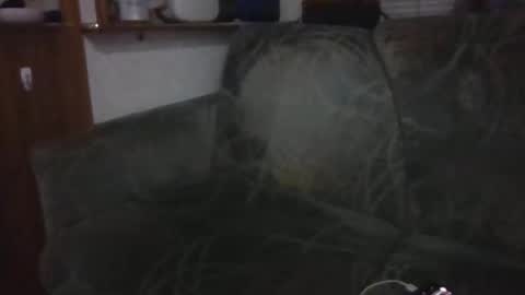 Snapshot of tybud4200 chatting on 20, 10, 2025 tybud4200 online show from 20, 10, 2025