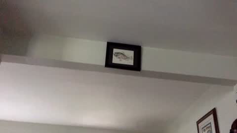 Tyler Durden online show from 8, 2, 2025