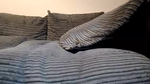 tyson2512 online show from 19, 2, 2026