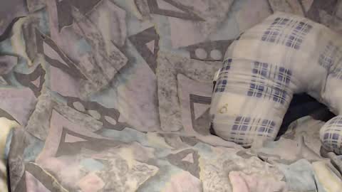 Helena and Tyson online show from 2, 2, 2025