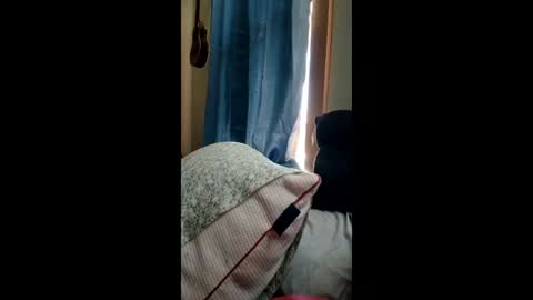 ummm1212 online show from 1, 3, 2026