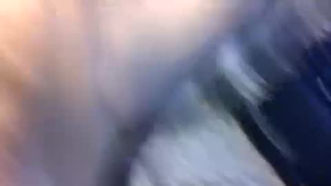 uncut7half237495 online show from 17, 10, 2025