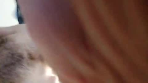 undress me online show from 9, 9, 2025