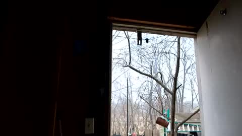 upforanything27 online show from 25, 12, 2024