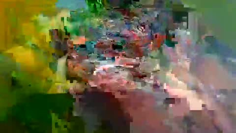 ur_zaddy4now online show from 24, 1, 2025