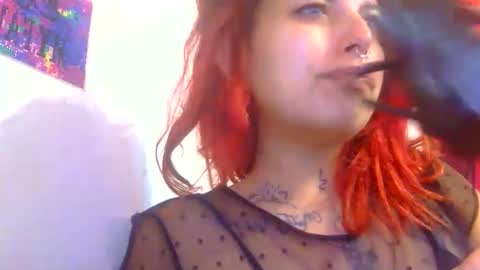 Aniie online show from 3, 12, 2025