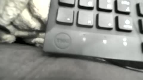 BamBam online show from 16, 1, 2026