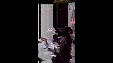 user18675309 online show from 8, 3, 2026