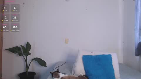 IG-valen mendoza99  twitter valenthompson99 online show from 11, 4, 2026