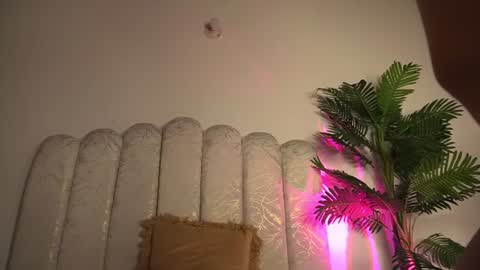 Snapshot of valentina_king18 chatting on 17, 6, 2026 VALENTINA online show from 17, 6, 2026