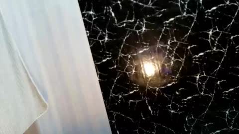Snapshot of valerie_lure chatting on 11, 6, 2026 addy online show from 11, 6, 2026