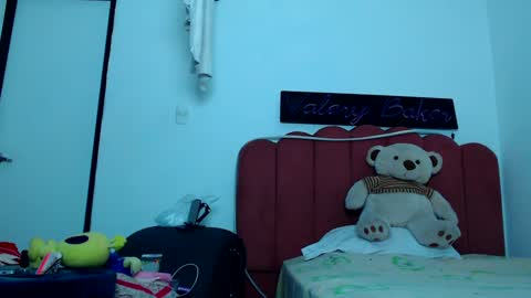 Snapshot of valerybaker1 chatting on 17, 12, 2024 B V Naughty online show from 17, 12, 2024