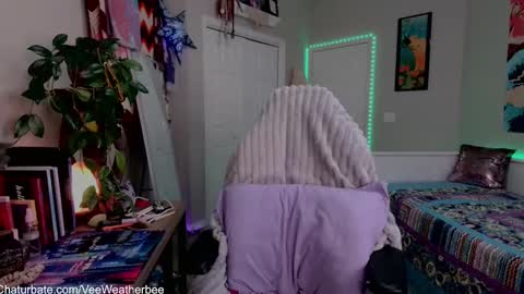 Snapshot of veeweatherbee chatting on 23, 12, 2024 Violet Weatherbee online show from 23, 12, 2024