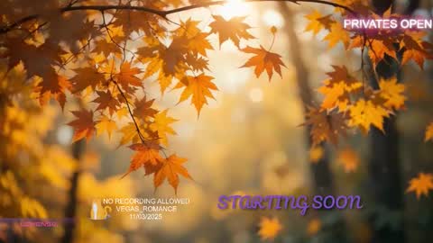 vegas_romance online show from 3, 11, 2025