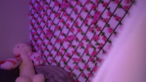 Polly online show from 4, 11, 2025