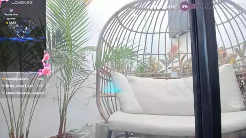 VENUS online show from 5, 1, 2026