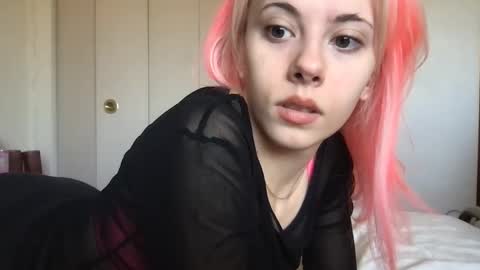 venustheflytrap online show from 6, 4, 2026