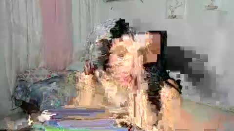 venus online show from 30, 11, 2025